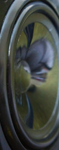 about image 1